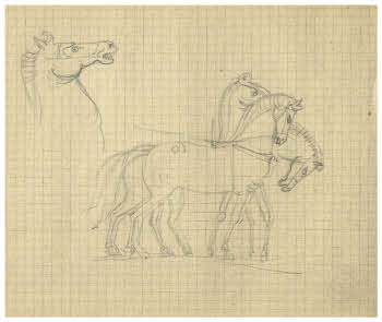 Visualizza l'immagine "FD D 1855"